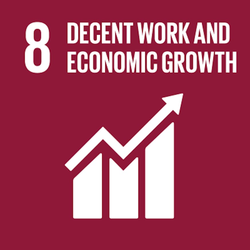 Sustainable Development Goals, Decent work and economic growth