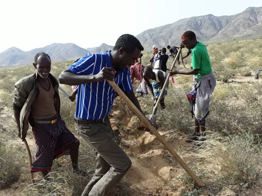 DRA, Sprinkhanenplaag, Somalië, SOS Kinderdorpen