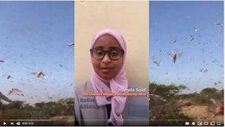 Dutch Relief Alliance videostill van Hamda in Desert Locust Joint Response