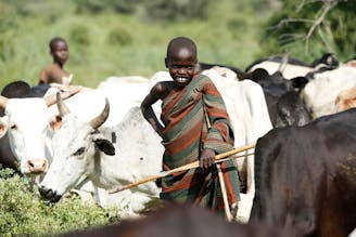 Jongen let op de koeien. Kenia - Joining Forces for Africa