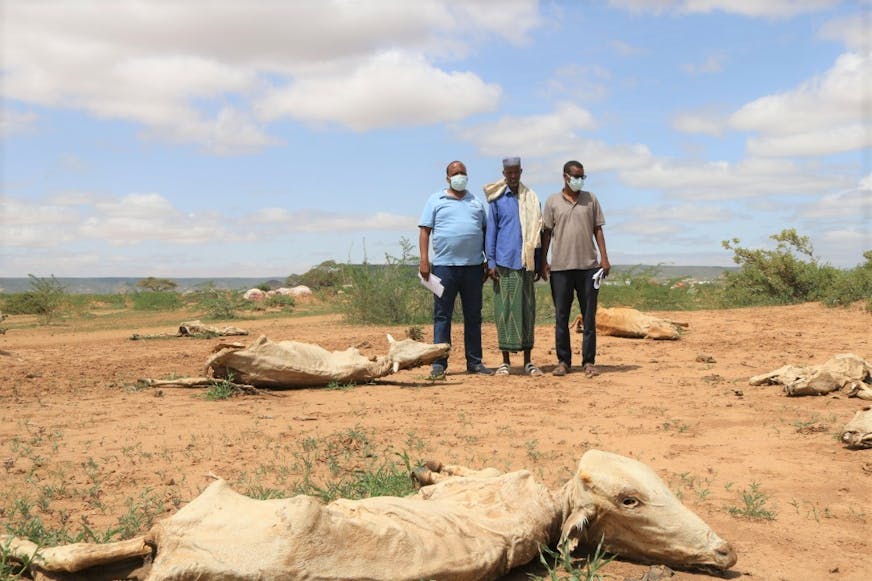SOS Kinderdorpen medewerkers in Ethiopië kijkend naar de dode koeien door de droogte