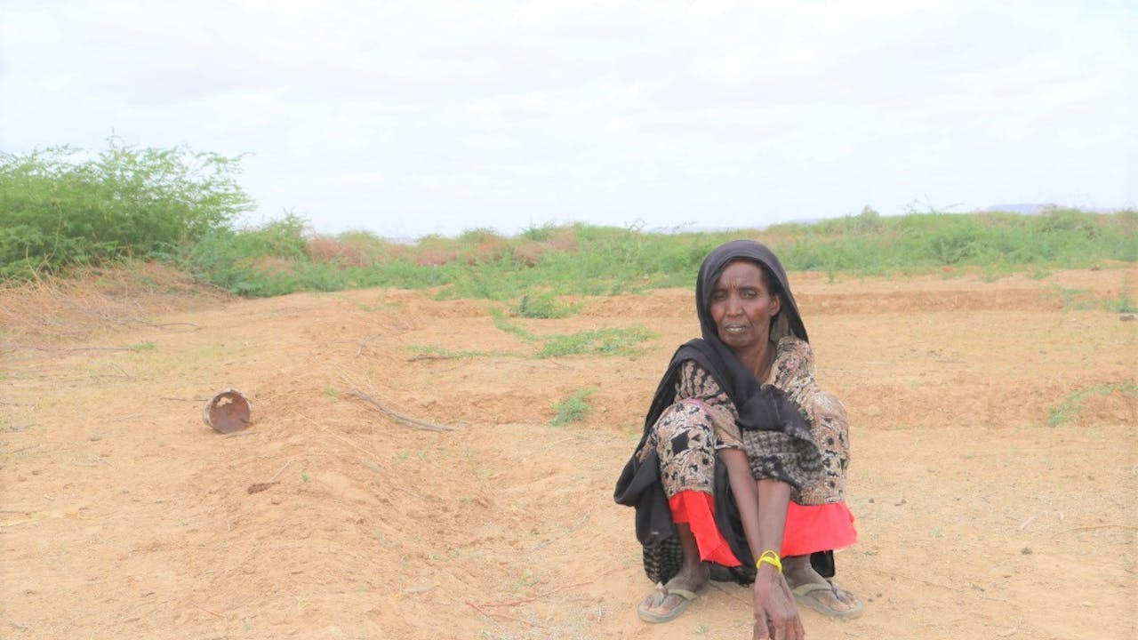 Timiro rust op haar land