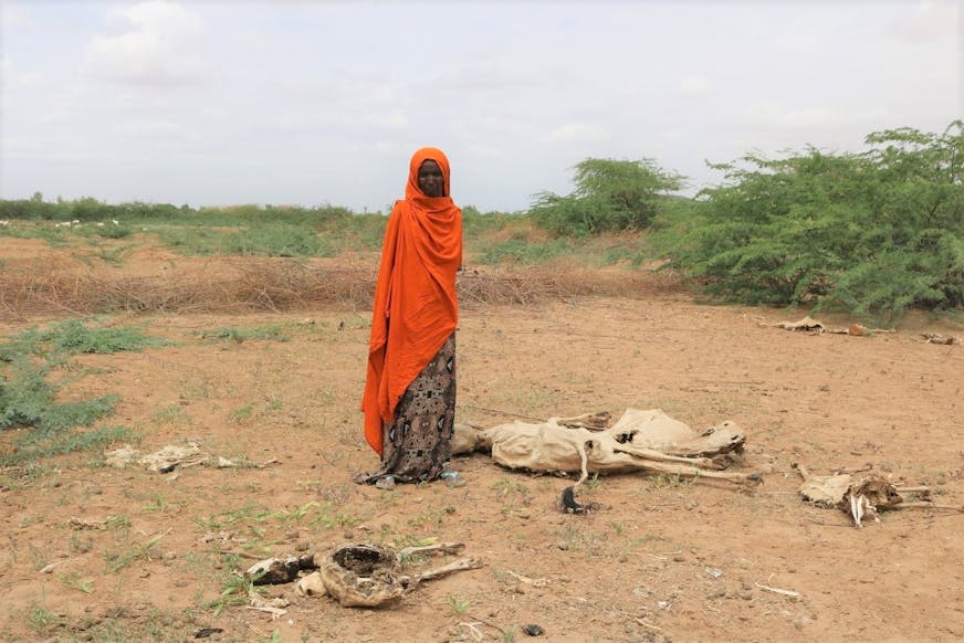Timiro bij de overgebleven resten van haar koeien