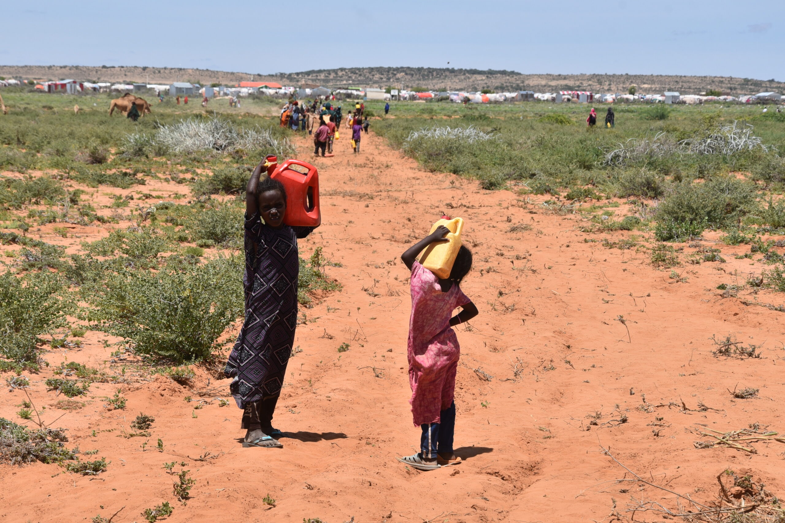 Noodhulp droogte klimaatverandering