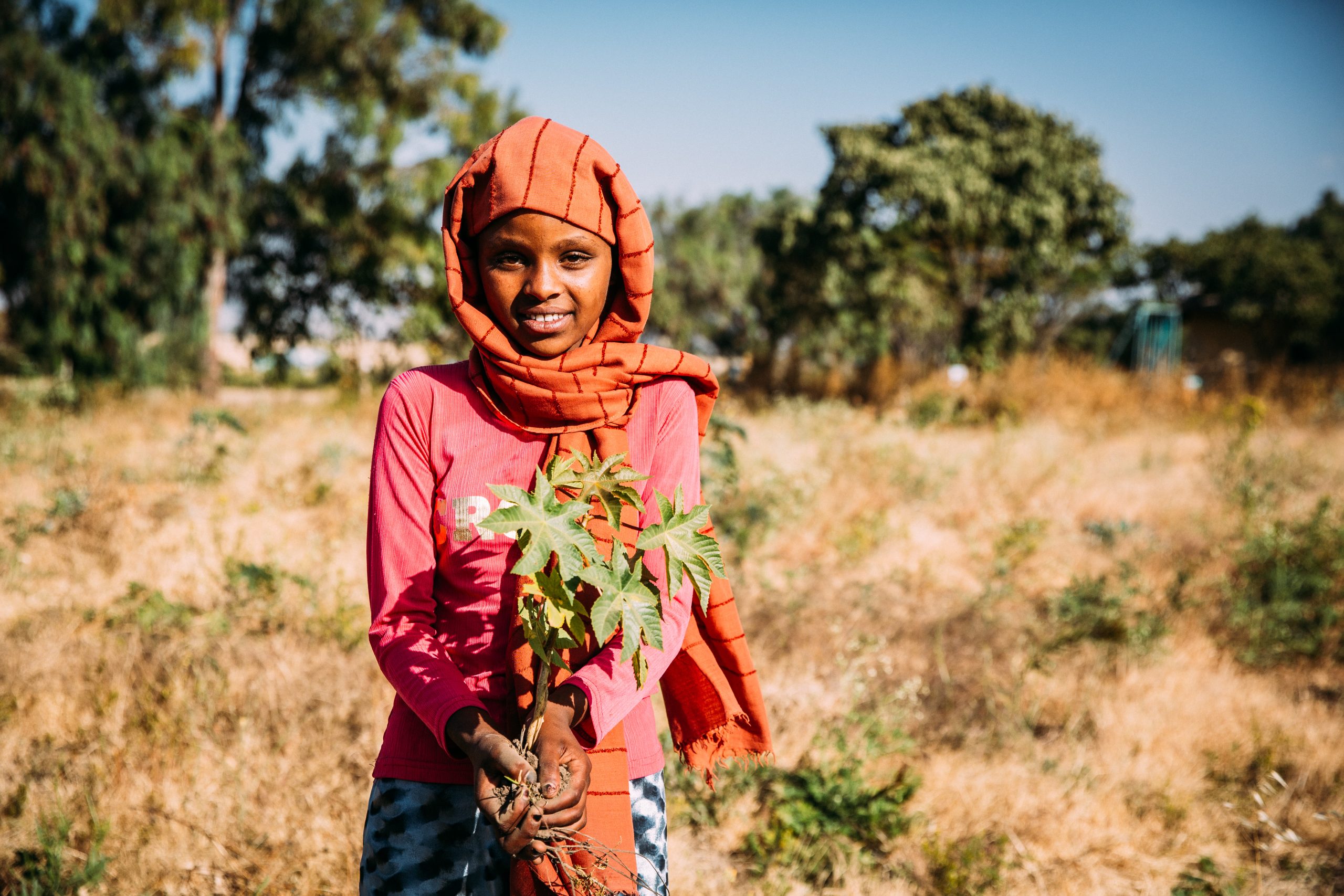 Ethiopisch meisje met plant in haar hand.
