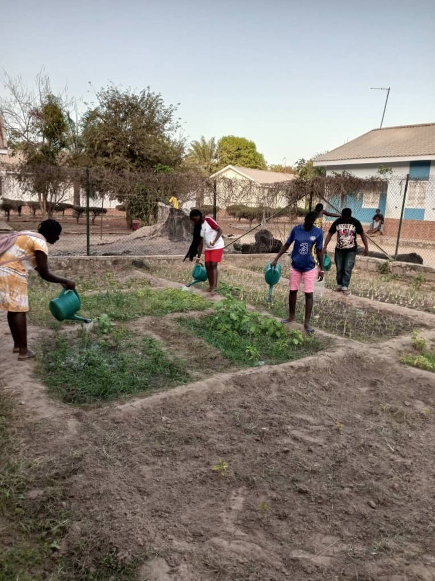 Moestuinproject in Canchungo, Guinee-Bissau