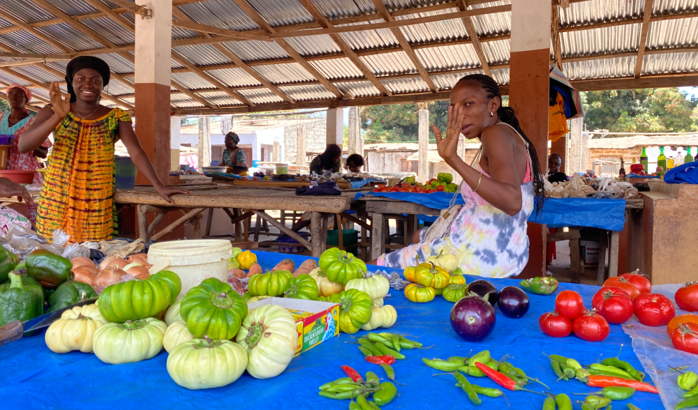 Moestuinproject Canchungo